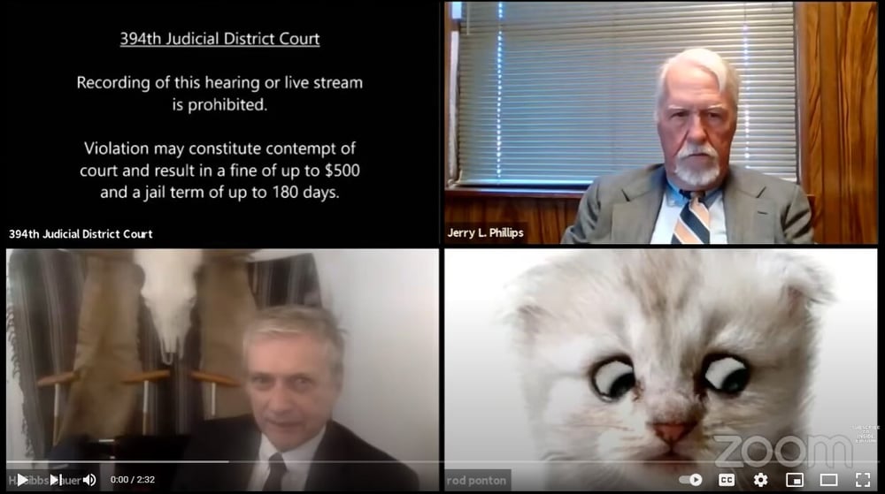 Cat filter lawyer avatar 2